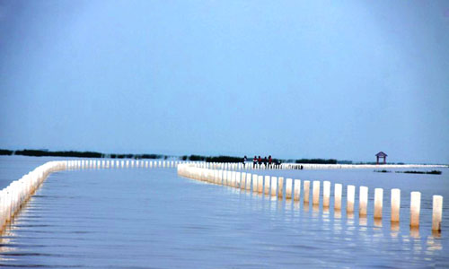 Un dragon aquatique du Lac Poyang, province Jiangxi